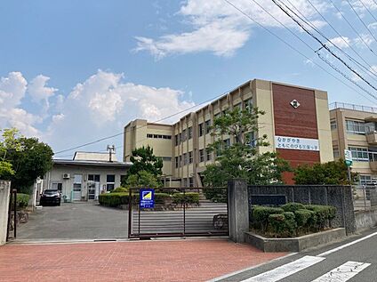 高松市立三渓小学校 1000ｍ(徒歩14分)