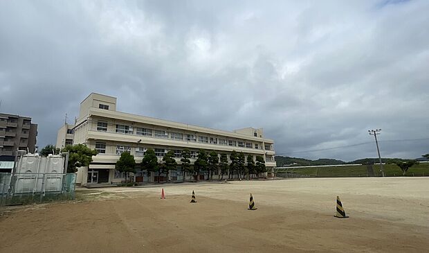 丸亀市立城東小学校（約350m）