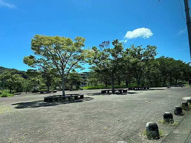 枝川公園（約646m）