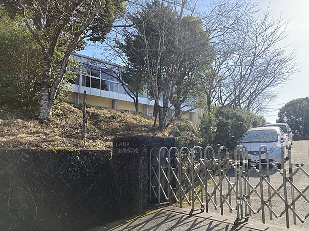 いの町立枝川小学校（約400m）