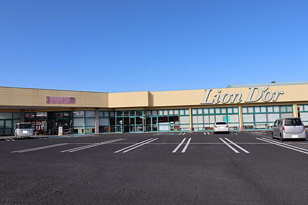 リオンドール高根沢店（約1,473m）