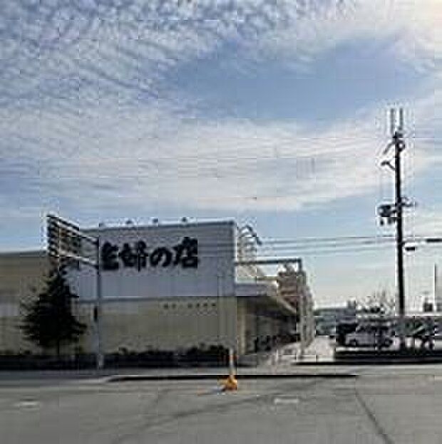 主婦の店尾崎店（約710m）