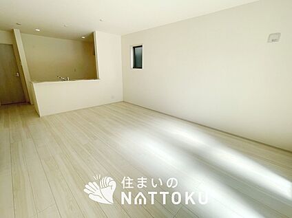 現地写真(リビング)