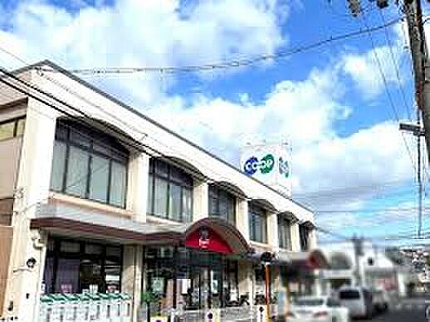 コープ大蔵谷（約540m）