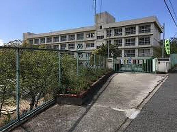 明石市立高丘西小学校(約1,100m)