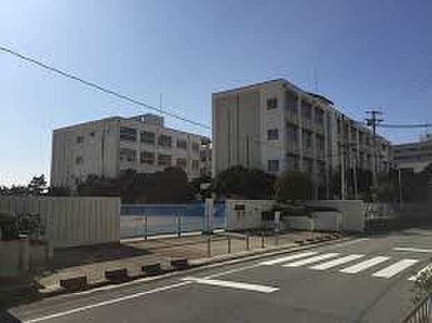 明石市立中崎小学校（約600m）