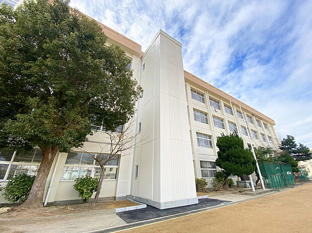 明石市立藤江小学校(約800m)