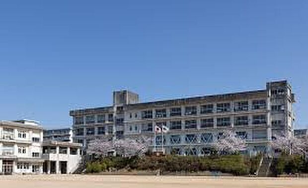 明石市立高丘東小学校(約650m)