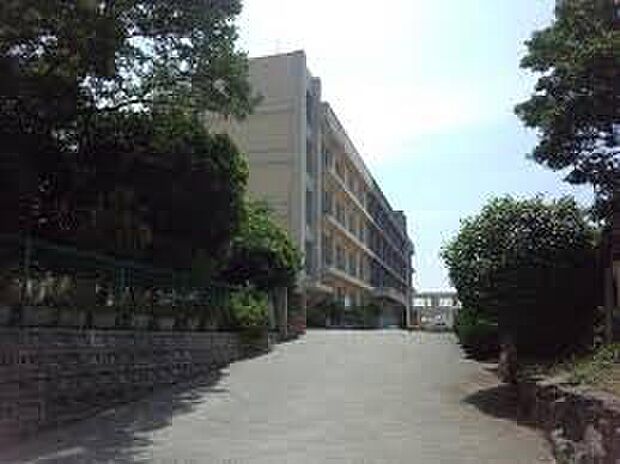 明石市立大蔵中学校(約900m)