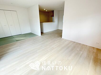 現地写真(リビング)