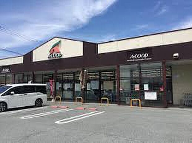 エーコープ玉手店(約500m)