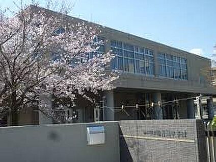 加古川市立加古川中学校 1000ｍ(徒歩13分)