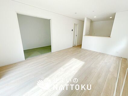 現地写真（リビング）