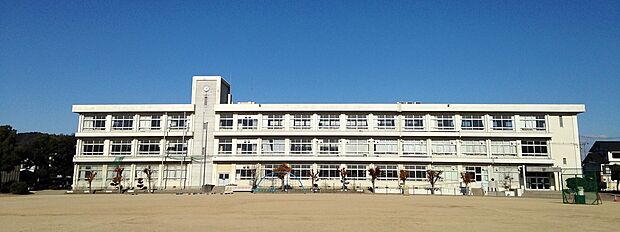 姫路市立八幡小学校（約1,100m）