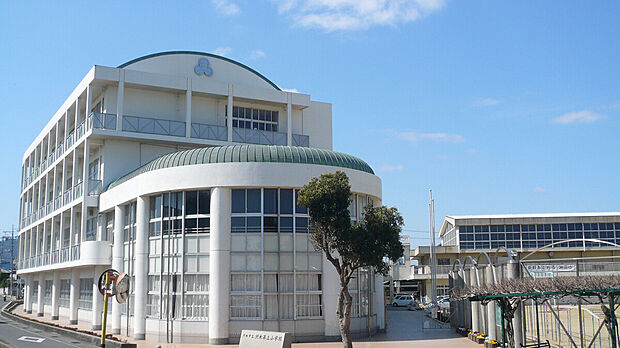 洲本市立洲本第三小学校（約800m）
