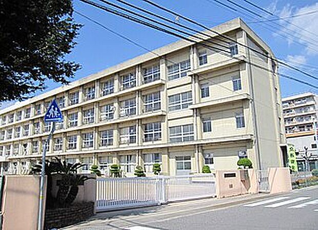 明石市立錦浦小学校(約1,400m)