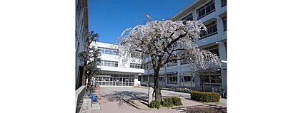 姫路市立荒川小学校 500ｍ(徒歩7分)