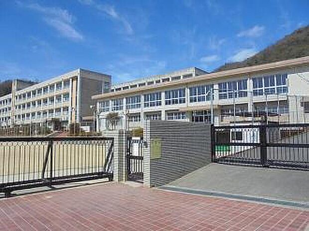 姫路市立青山小学校(約800m)
