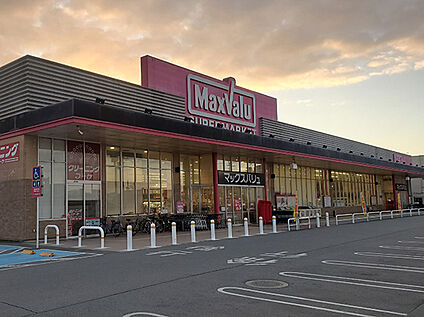 マックスバリュ龍野店 1100ｍ(徒歩14分)
