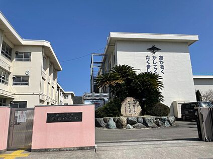 松山市立桑原小学校 800m(徒歩10分)