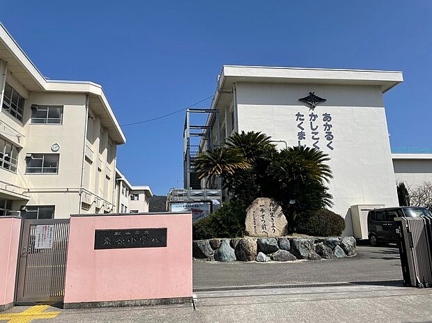 松山市立桑原小学校（約800m）