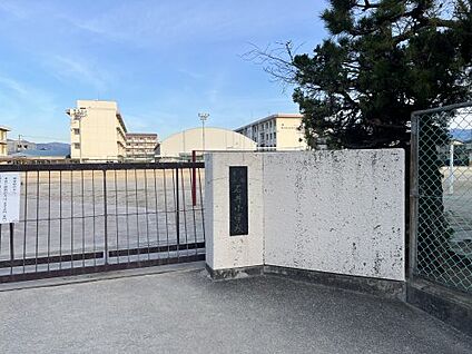 松山市立石井小学校 徒歩500m