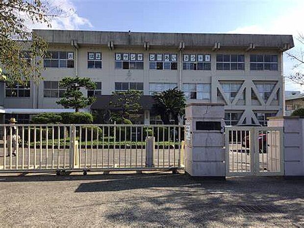 新居浜市立金子小学校（約1,000m）