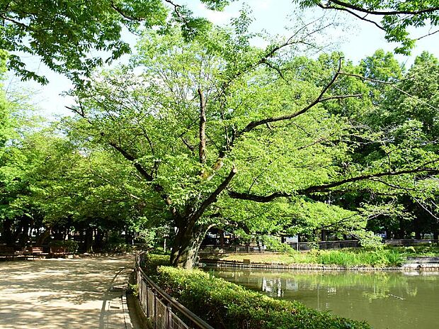 杉並区立妙正寺公園