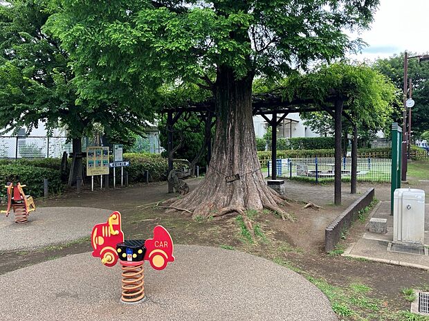 経堂大橋公園