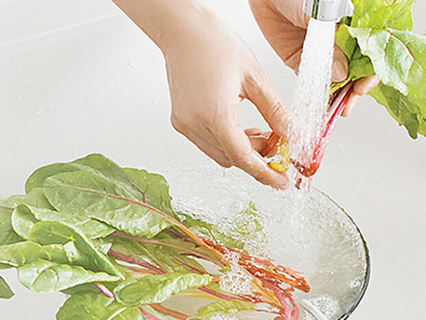 【【浄水器】】浄水器をスリムに内蔵したハンドシャワー式の水栓金具です。シンクもスッキリ!