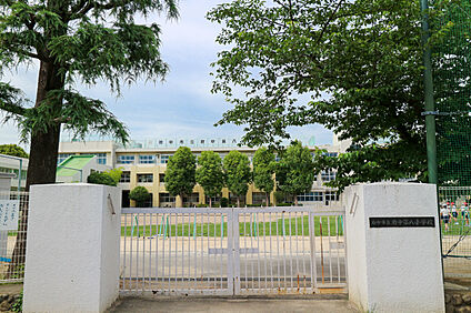 府中第八小学校 約850ｍ(徒歩約11分)