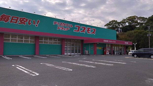 ディスカウントドラッグコスモス岸の浦店