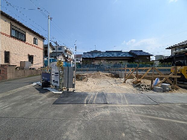 【3号地】2026年6月撮影