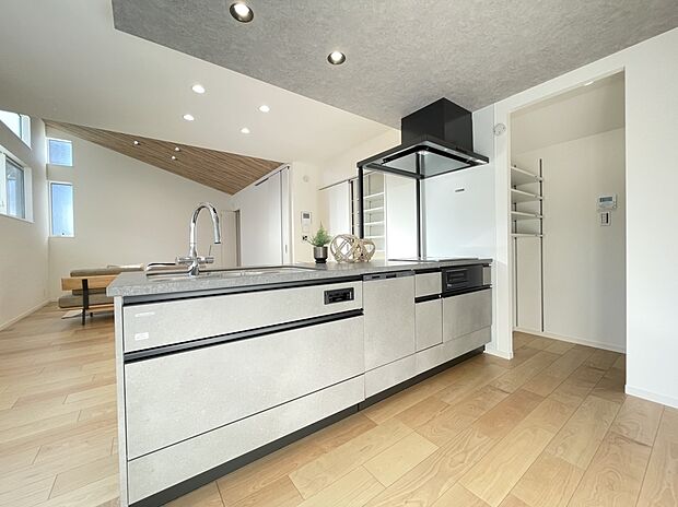 【キッチン (D号棟)】■タカラスタンダード オフェリアを採用
■天板までこだわった機能、デザイン性の高いキッチンです。