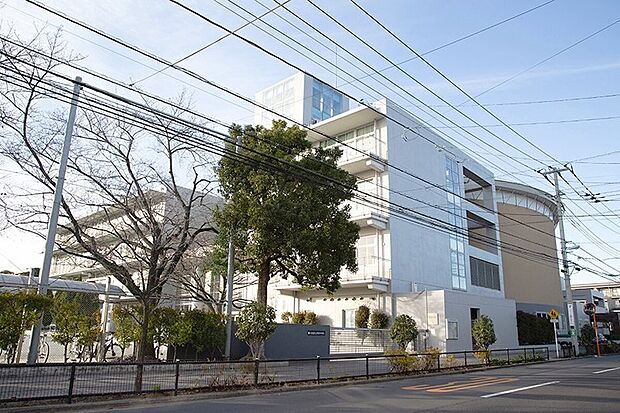 井荻中学校（約80m）