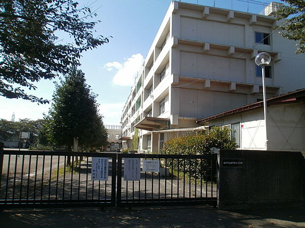 日野第七小学校（約800m）