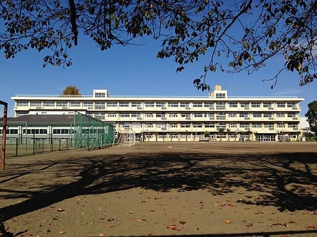 向陽中学校(約850m)