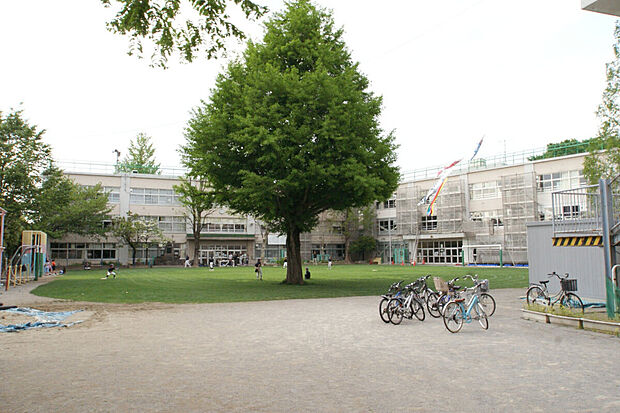 大宮小学校（約500m）