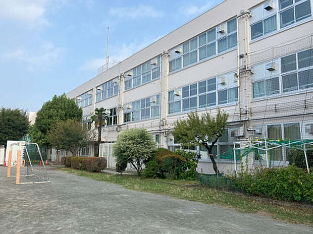 国立第五小学校（約500m）