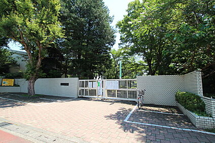 仲田小学校 240m