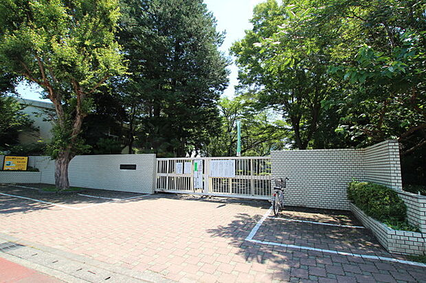仲田小学校(約240m)