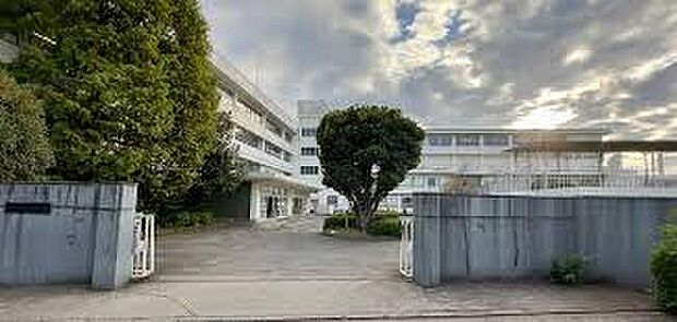 四谷小学校(約170m)