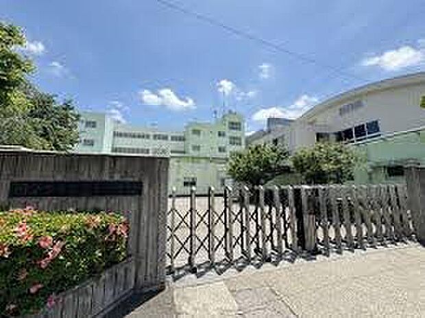 第十小学校(約40m)