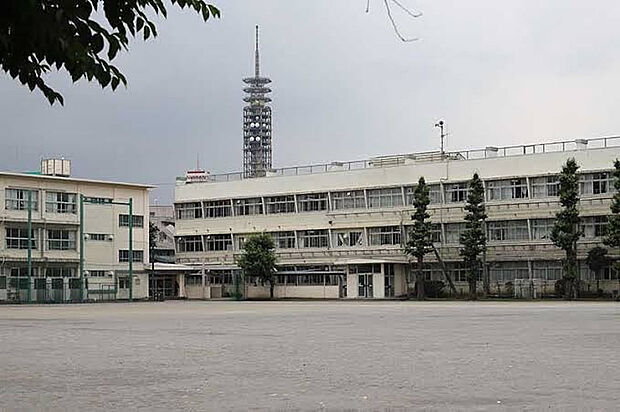 田無第三中学校(約550m)
