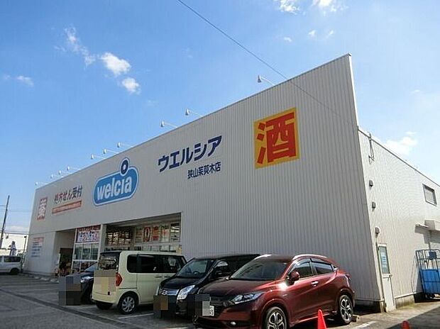 ウエルシア狭山茱萸木店
