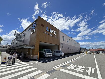 ライフ初芝店 約1027ｍ(徒歩１３分)