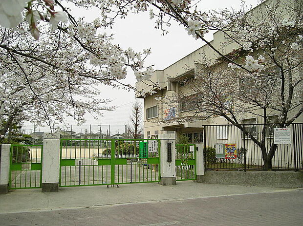 八尾市立山本小学校（約550m）