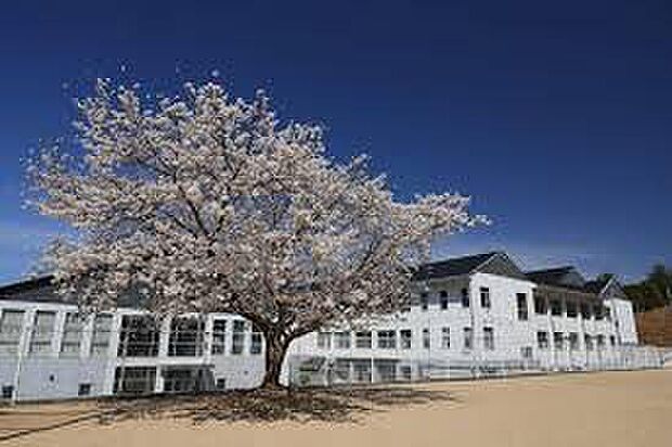 南丹市立園部第二小学校（約1,300m）