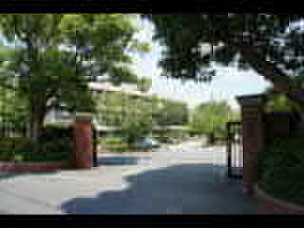 枚方市立第一中学校(約650m)