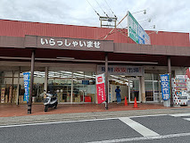 新鮮激安市場!向日町店(約790m)
